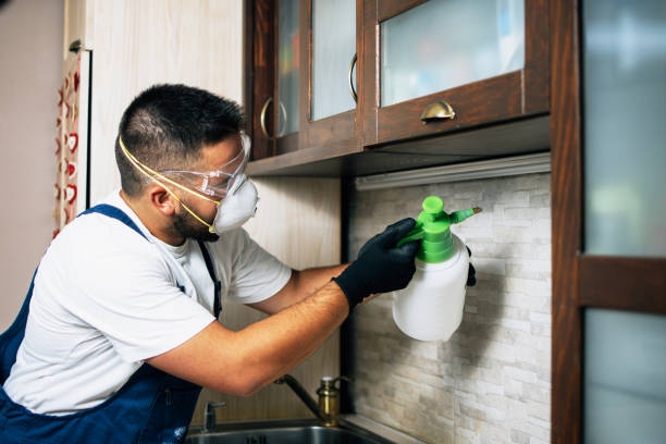 Best Cockroach Control Services  in West Bradenton, FL