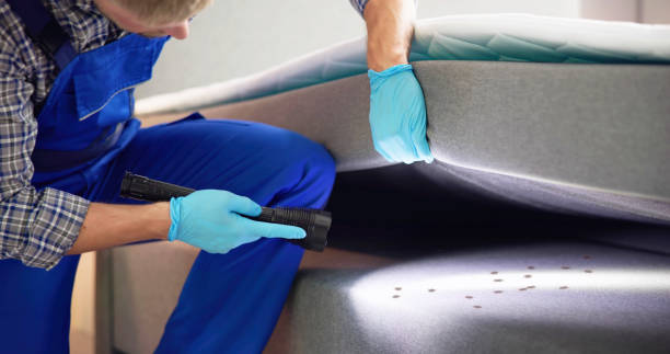 Pest Prevention Services in West Bradenton, FL