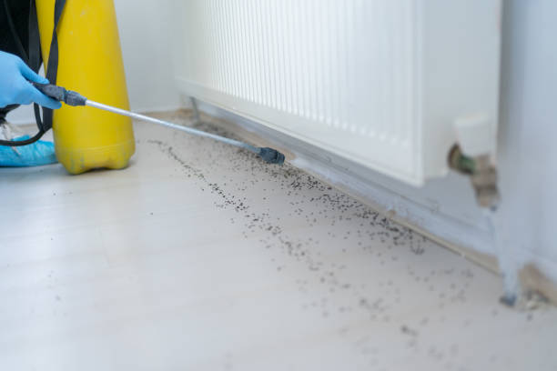 Best Affordable Pest Control Services  in West Bradenton, FL